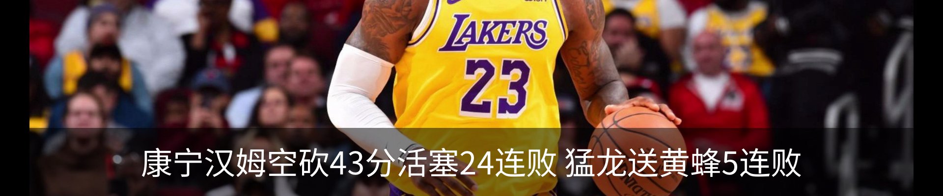 新闻动态