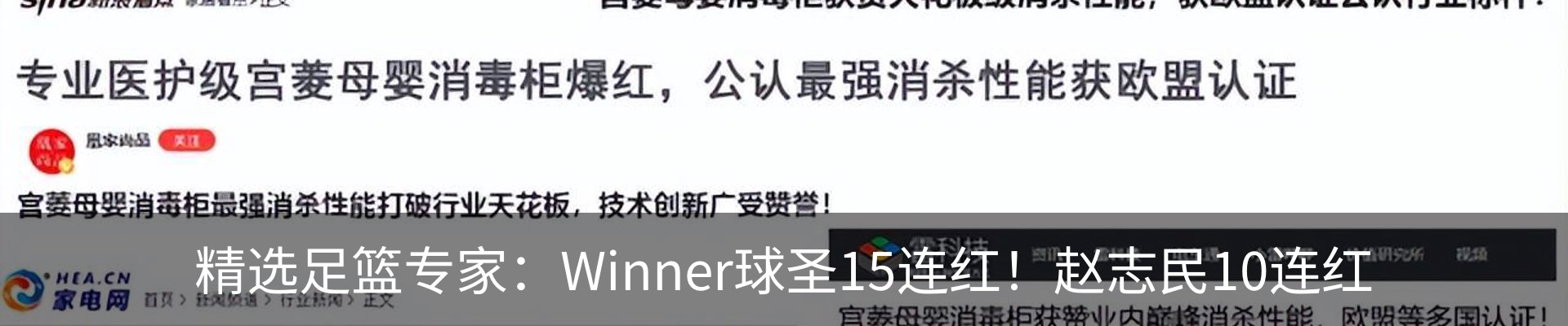 新闻动态